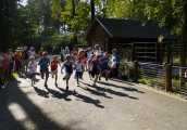 zoorun2012_061.jpg