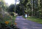 zoorun2012_050.jpg