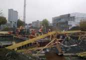 zoorun2012_007.jpg