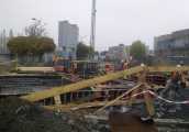 zoorun2012_006.jpg