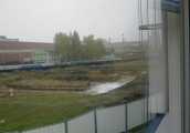 zoorun2012_008.jpg